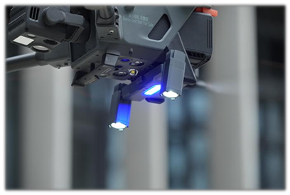 美女的隐藏部位是什么图片