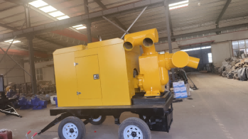 美女的隐藏部位是什么图片