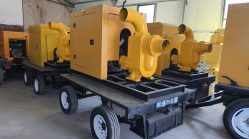 美女的隐藏部位是什么图片