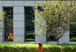 美女的隐藏部位是什么图片