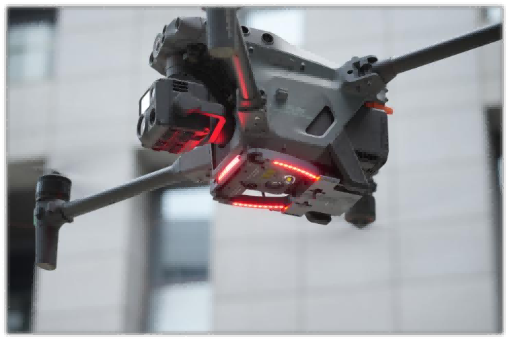 美女的隐藏部位是什么图片