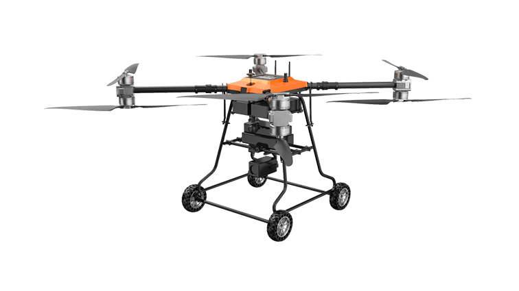 美女的隐藏部位是什么图片