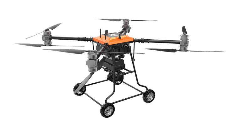 美女的隐藏部位是什么图片