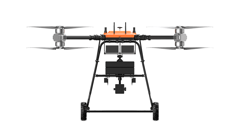 美女的隐藏部位是什么图片