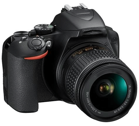 美女的隐藏部位是什么图片