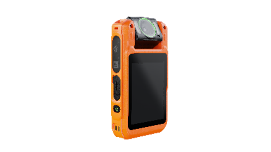 美女的隐藏部位是什么图片