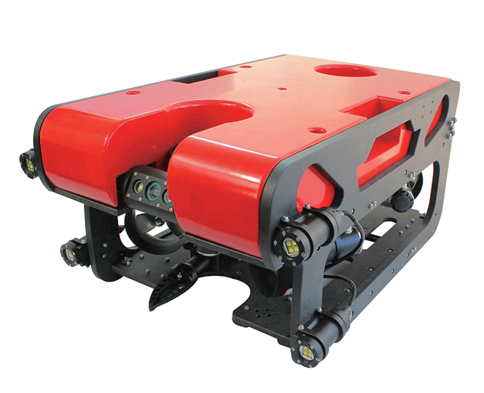 美女的隐藏部位是什么图片