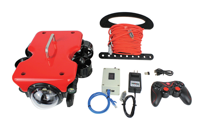 美女的隐藏部位是什么图片