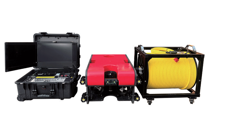 美女的隐藏部位是什么图片