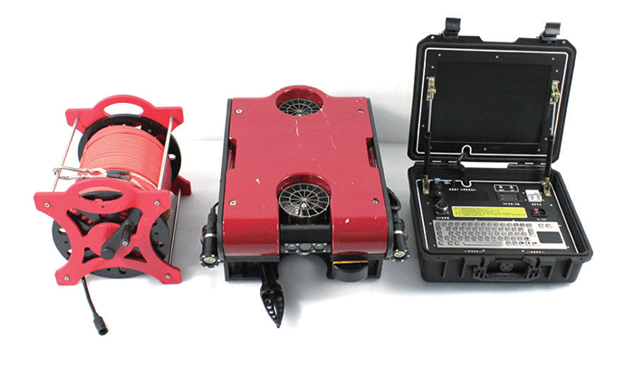 美女的隐藏部位是什么图片