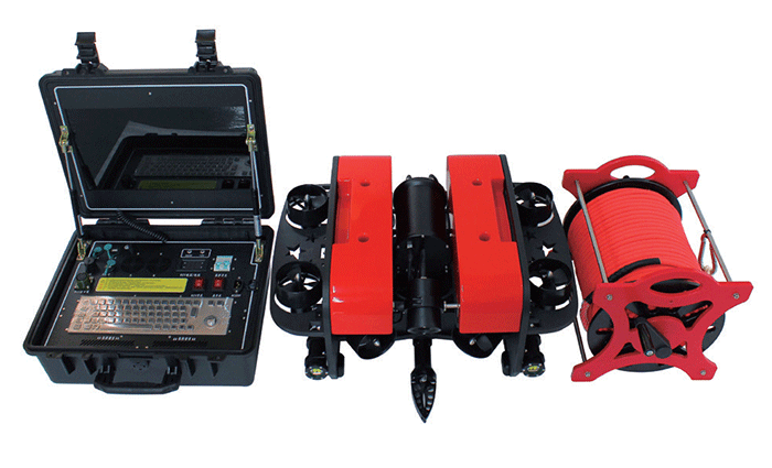 美女的隐藏部位是什么图片