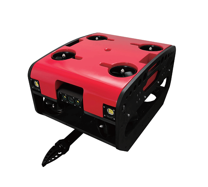 美女的隐藏部位是什么图片