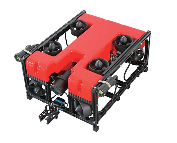 美女的隐藏部位是什么图片