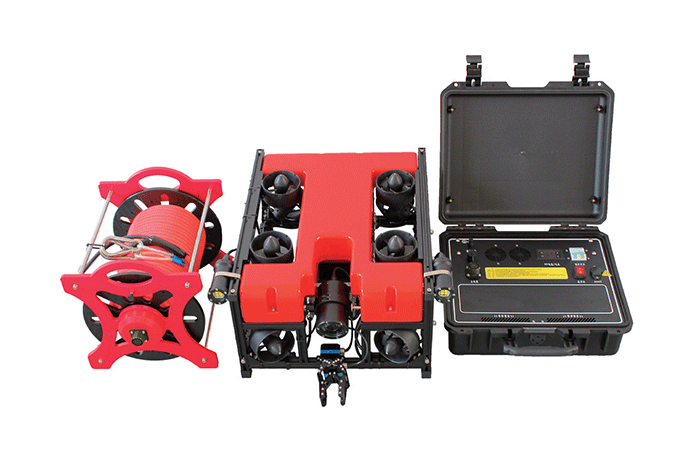 美女的隐藏部位是什么图片