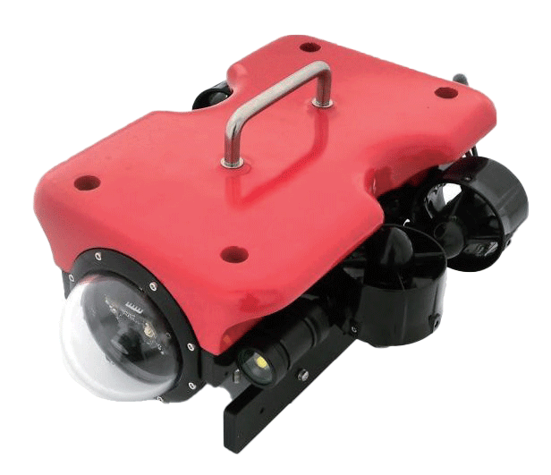 美女的隐藏部位是什么图片