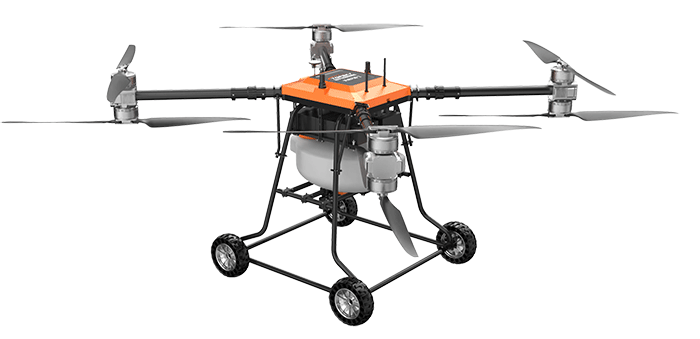 美女的隐藏部位是什么图片