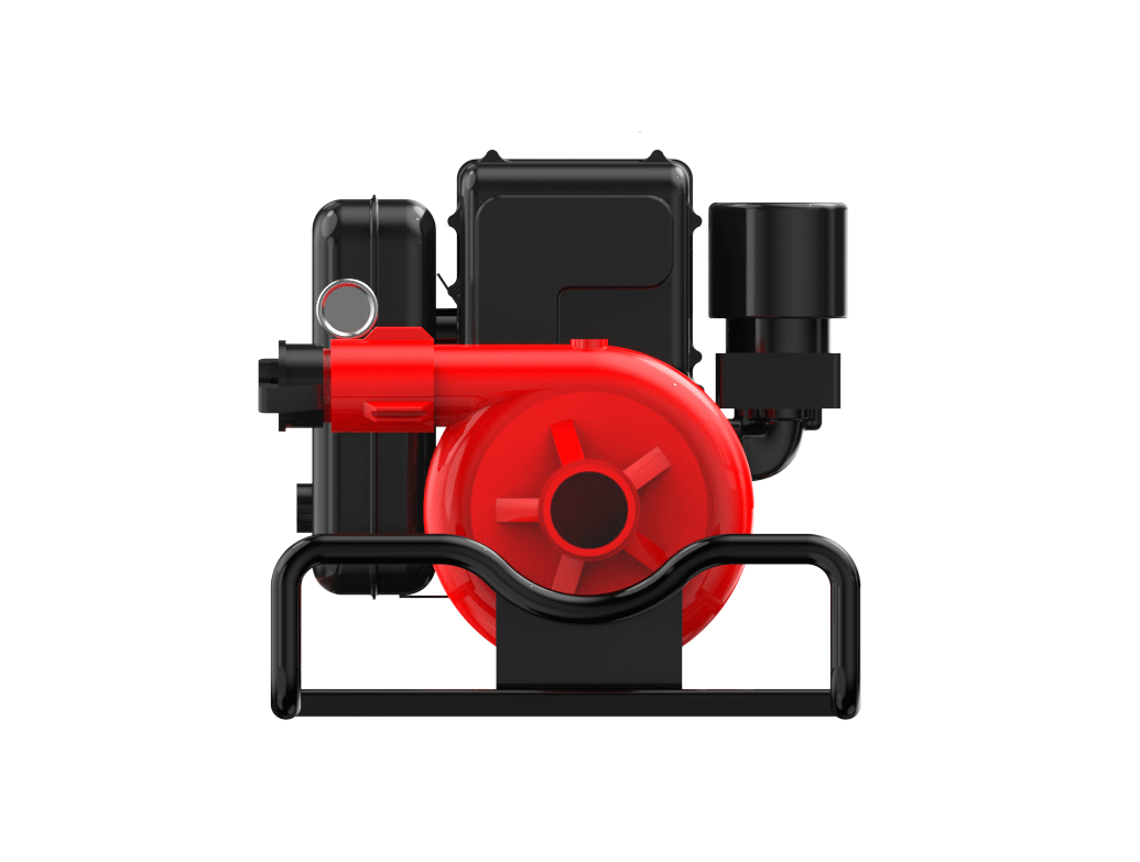 美女的隐藏部位是什么图片