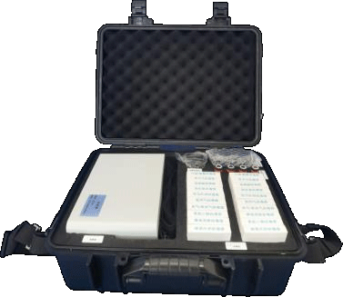 美女的隐藏部位是什么图片