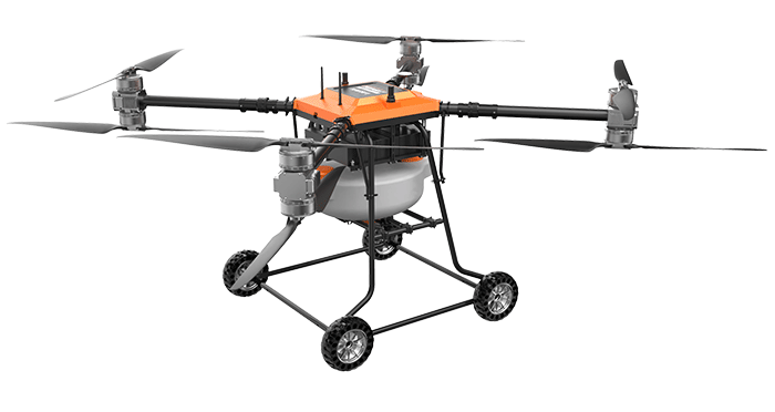 美女的隐藏部位是什么图片