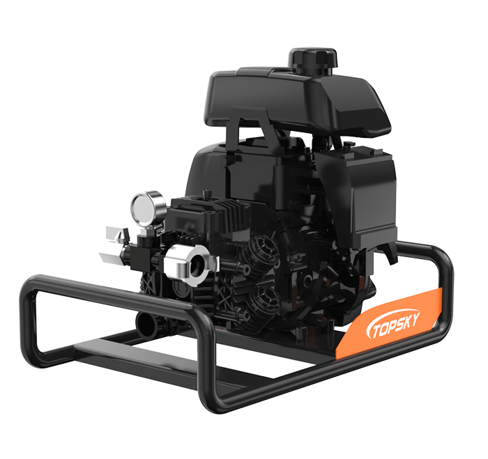 美女的隐藏部位是什么图片