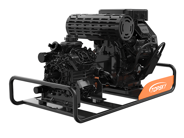 美女的隐藏部位是什么图片