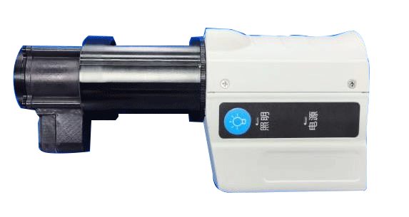 美女的隐藏部位是什么图片