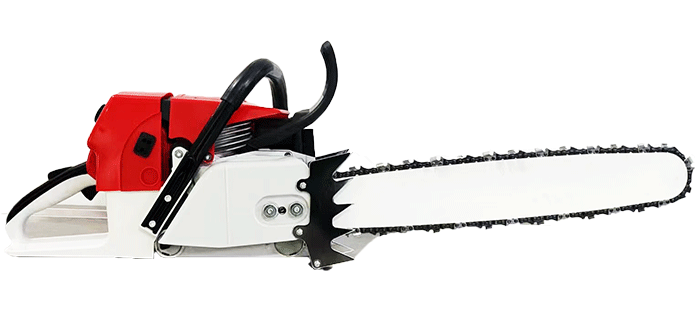 美女的隐藏部位是什么图片