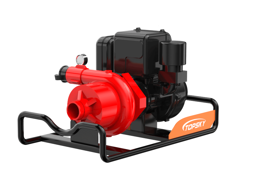 美女的隐藏部位是什么图片