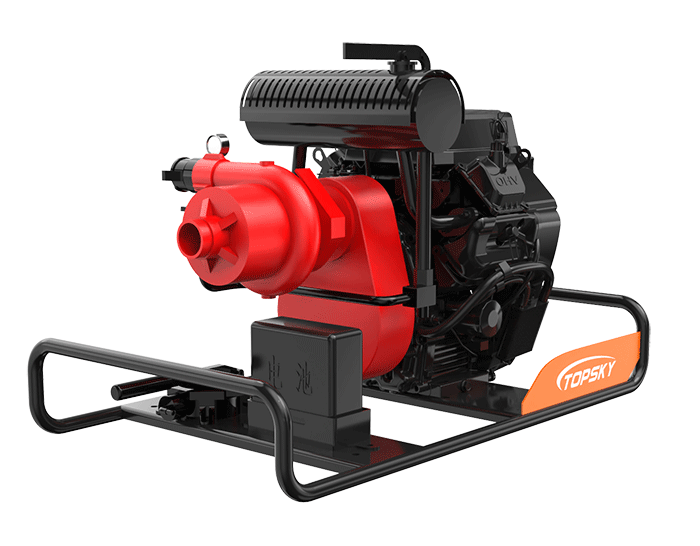 美女的隐藏部位是什么图片