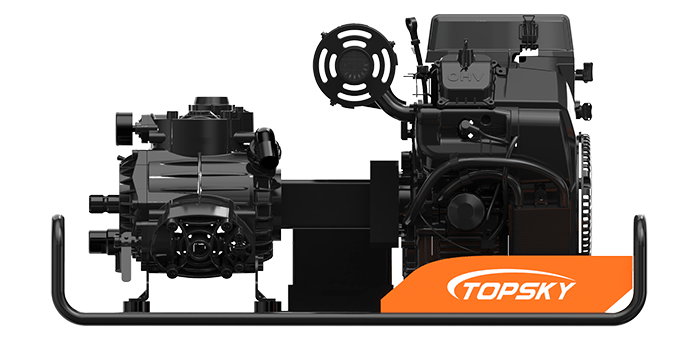 美女的隐藏部位是什么图片