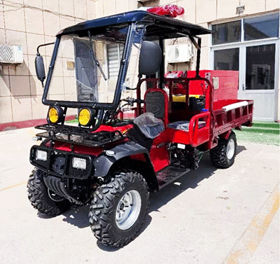 美女的隐藏部位是什么图片