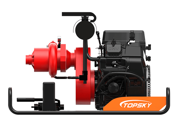 美女的隐藏部位是什么图片