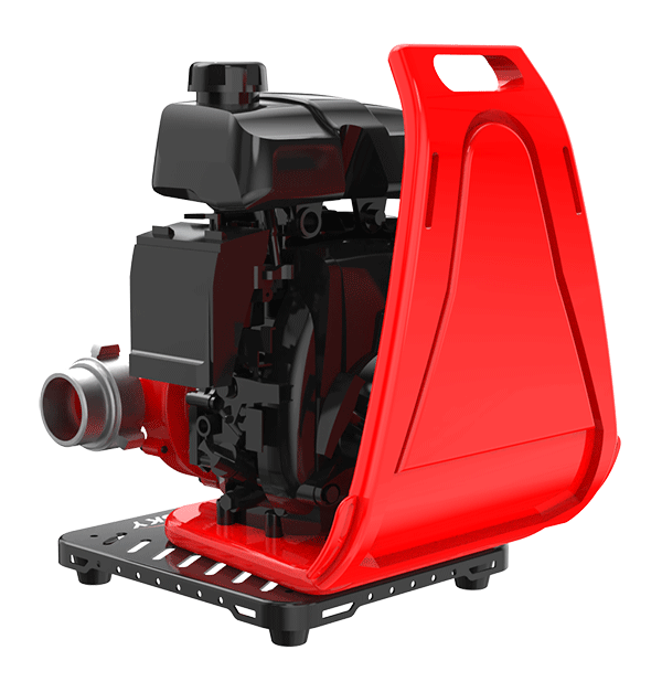 美女的隐藏部位是什么图片