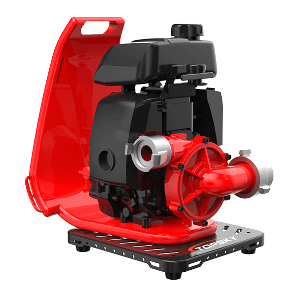 美女的隐藏部位是什么图片