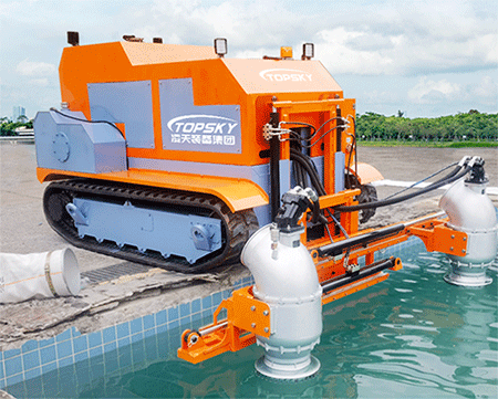 美女的隐藏部位是什么图片