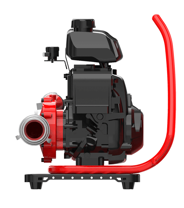 美女的隐藏部位是什么图片