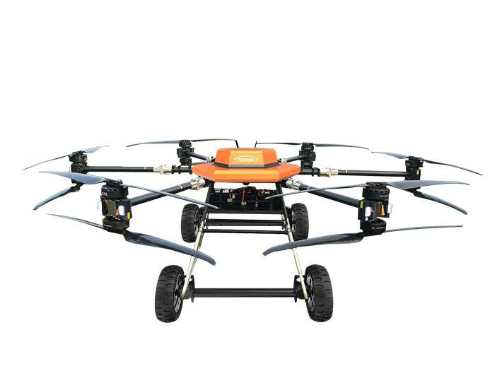 美女的隐藏部位是什么图片