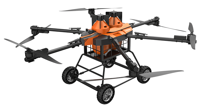 美女的隐藏部位是什么图片