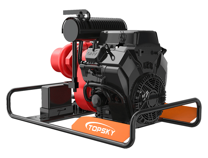 美女的隐藏部位是什么图片