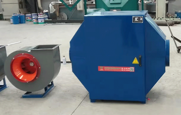 美女的隐藏部位是什么图片