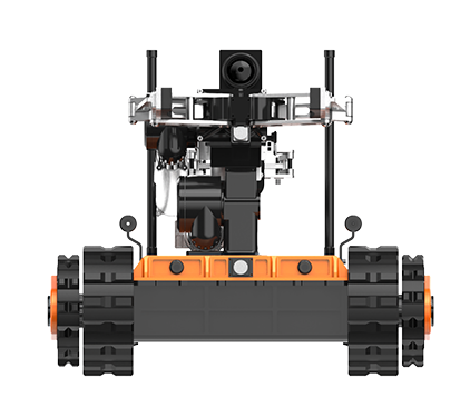 美女的隐藏部位是什么图片