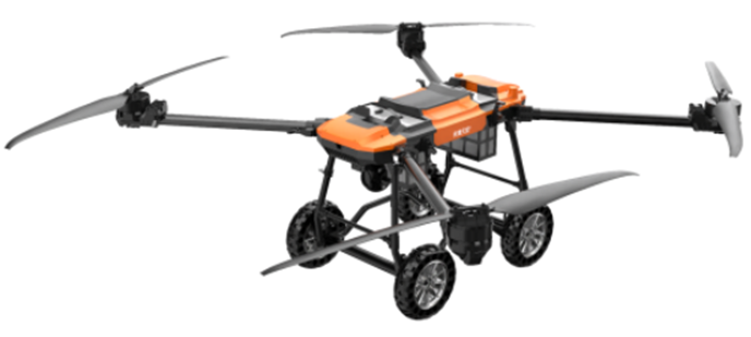 美女的隐藏部位是什么图片