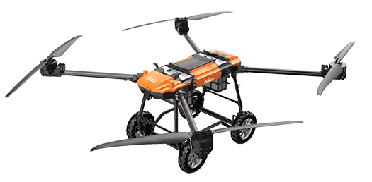 美女的隐藏部位是什么图片