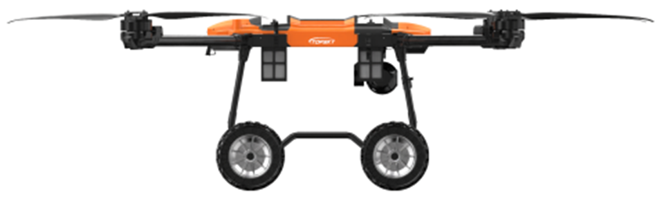 美女的隐藏部位是什么图片