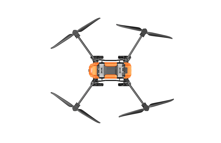 美女的隐藏部位是什么图片