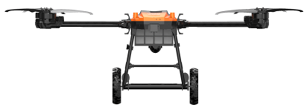 美女的隐藏部位是什么图片