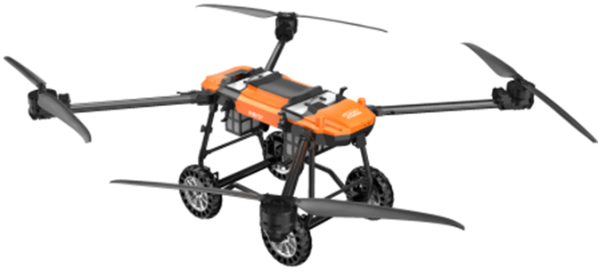 美女的隐藏部位是什么图片