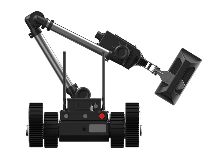 美女的隐藏部位是什么图片