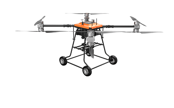 美女的隐藏部位是什么图片