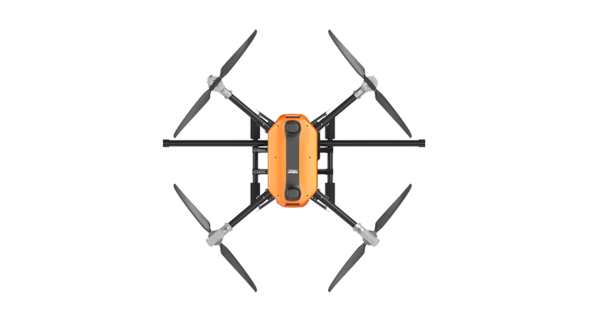 美女的隐藏部位是什么图片